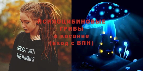 первитин Медвежьегорск