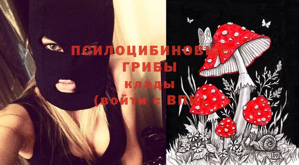 первитин Медвежьегорск