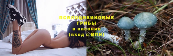 марихуана Медногорск