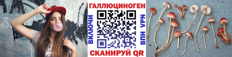 даркнет сайт blacksprut ССЫЛКА Галлюциногенные грибы GOLDEN TEACHER Яблоновский